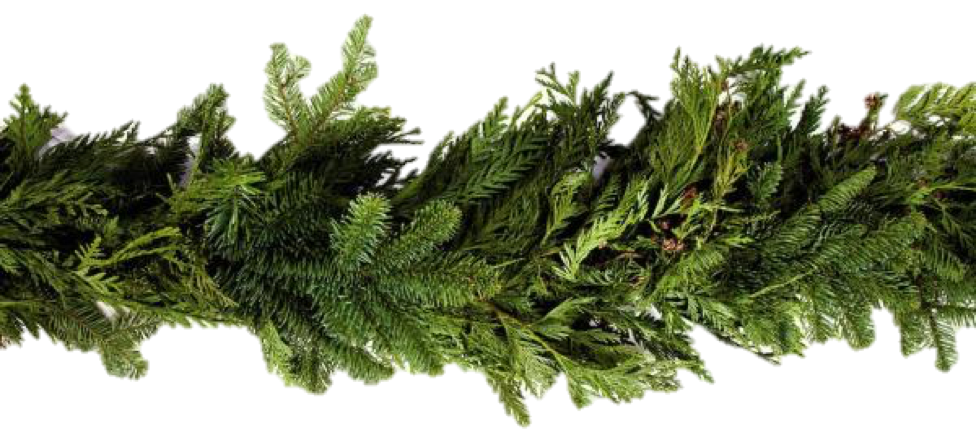 Fresh Garland - Lakeview